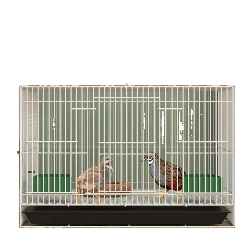 Large Indoor Quail & Chick Cage for Quails, Call Ducks, and Ducklings - Free Shipping