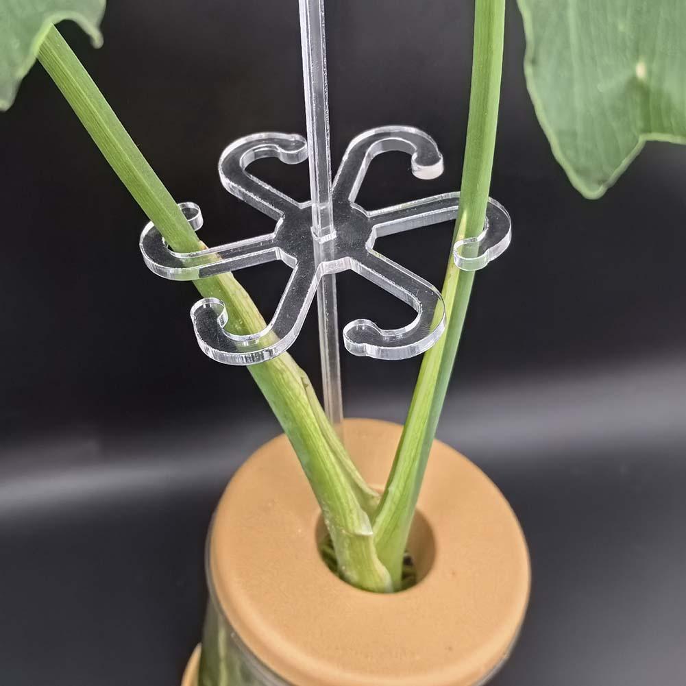 Acrylic Support Flower Stem Support Aesthetic Gardening Solution Plant Fixation Stakes Promotes Healthy Growth