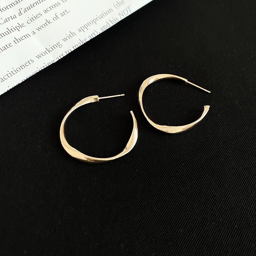 Silver Needle Smooth Twist Round Stud Earrings Cold Wind Temperament Earrings Earrings Earrings