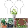 Robust Support For Plants Robust Climbing Frame Acrylic Plant Climbing Frame Artistic Touch For Plant Arrangements