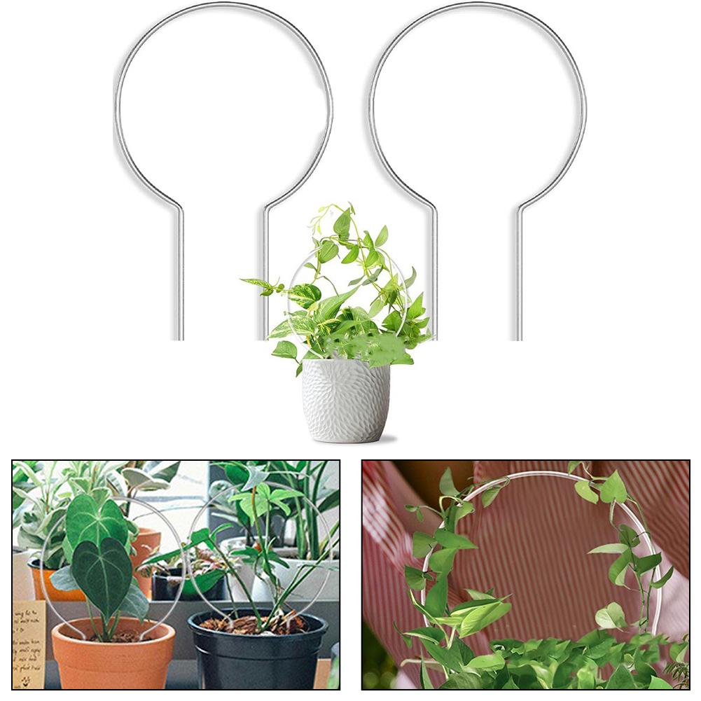 Robust Support For Plants Robust Climbing Frame Acrylic Plant Climbing Frame Artistic Touch For Plant Arrangements