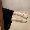 French light mouth single shoes women's 2025 autumn new thick heel square head with skirt high heels with Mary Jane shoes