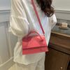 Niche Design Bag for Women New Style Simple Texture Small Square Bag Handbag Casual and Fashionable One-shoulder Crossbody Bag