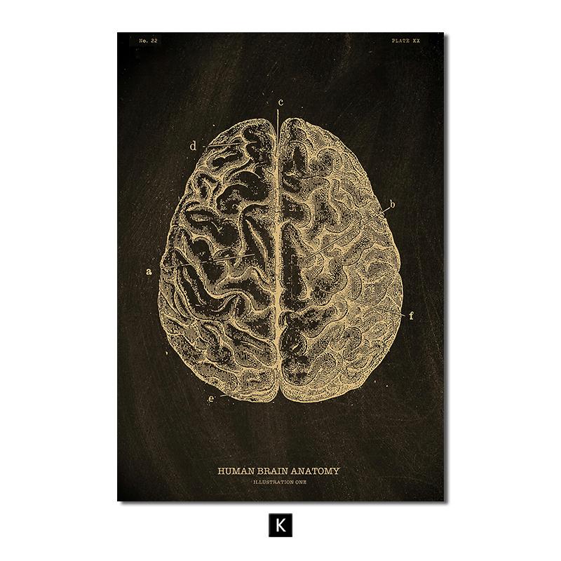 

Анатомия человека, винтажный постер, скандинавский холст, художественный принт, золотой скелет, органы, живопись, настенные панно, медицинский домашний декор 30x40cm No Frame