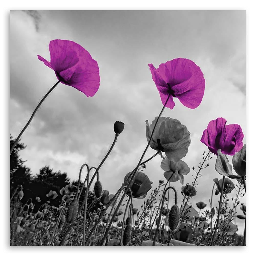 Leinwanddruck, Lila Mohnblumen