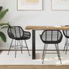 Dining Chair 2 Pcs Rattan and Iron Black 55 X 50 X 74 Cm