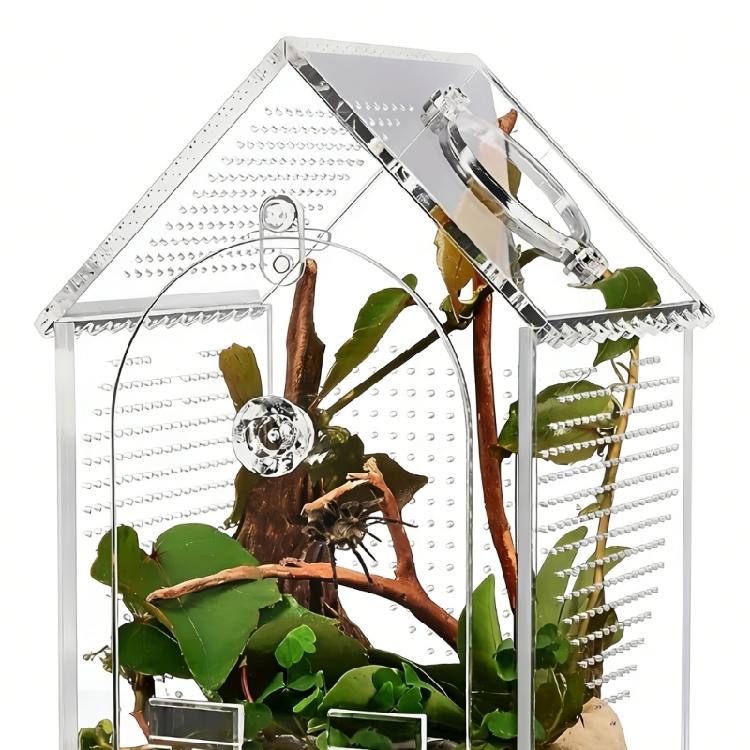 Shatterproof Clear Acrylic Reptiles Terrarium Breeding Box Ventilated Reptiles Cage For Science Experiment And Education