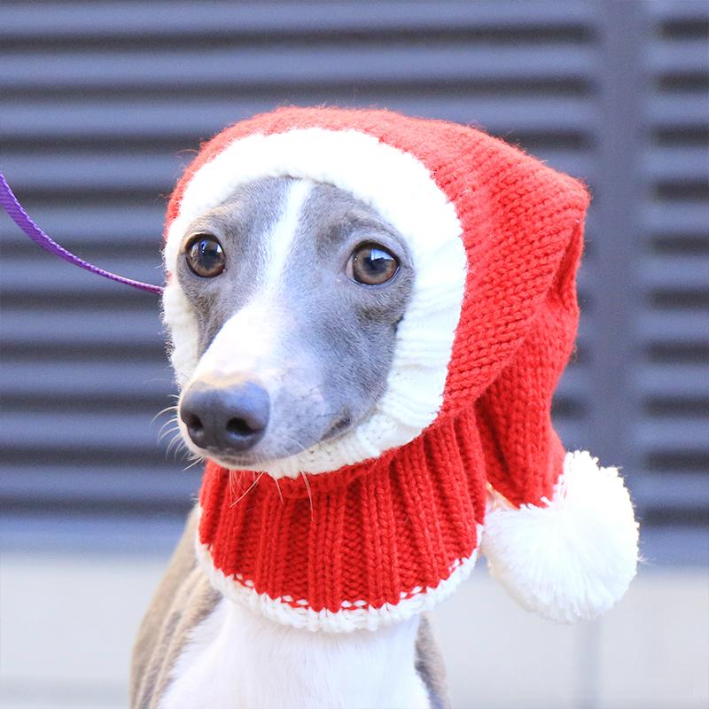 NEW Cute Red Christmas Pet Hat With Ball Cat Dog Hat Warm Winter Wool Knitted Hat Whippet/Greyhound/Bichon Frize Pet Winter Hat S