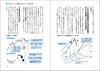 The World's Easiest Stock Textbook for First Graders