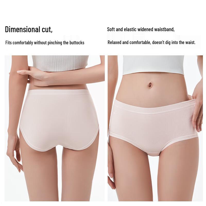 Etam Women's Seamless Combed Cotton Mid-Rise Briefs (3-Pack)