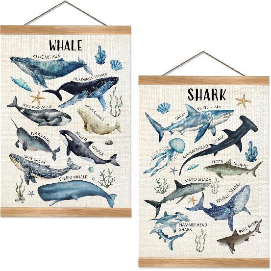ZTGDA Shark Faces Posters, Sea Animals Sharks Posters Wall Art,Marine Sharks Decor,Ocean Educational Poster for Kid Classroom Decorations Kids Room