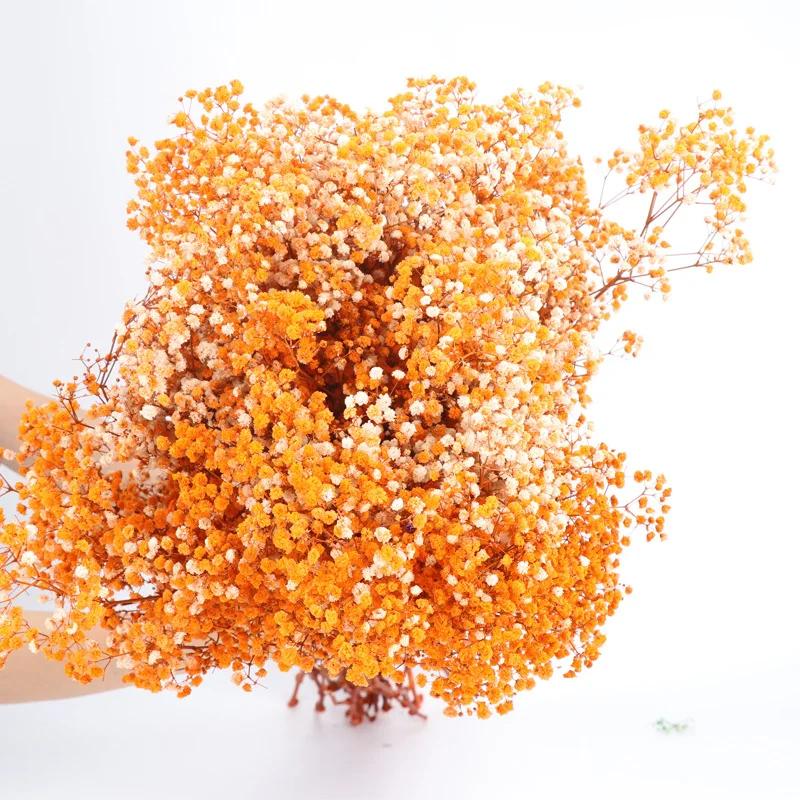 Dried Flowers Babys Breath Bouquet Ivory White Flowers Natural Gypsophila Branches for Home Decor Wedding Flowers Bulk for Vase