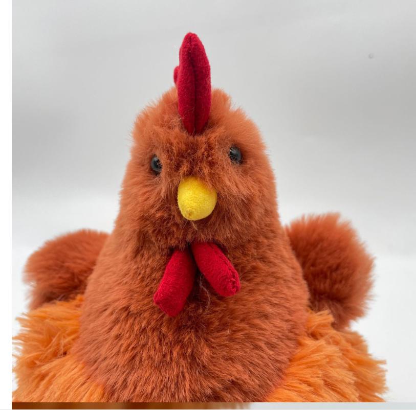 Simulation Hen Plush Jeycat Rooster Toy Ceile Chicken Creative Stuffed Doll Children Gift
