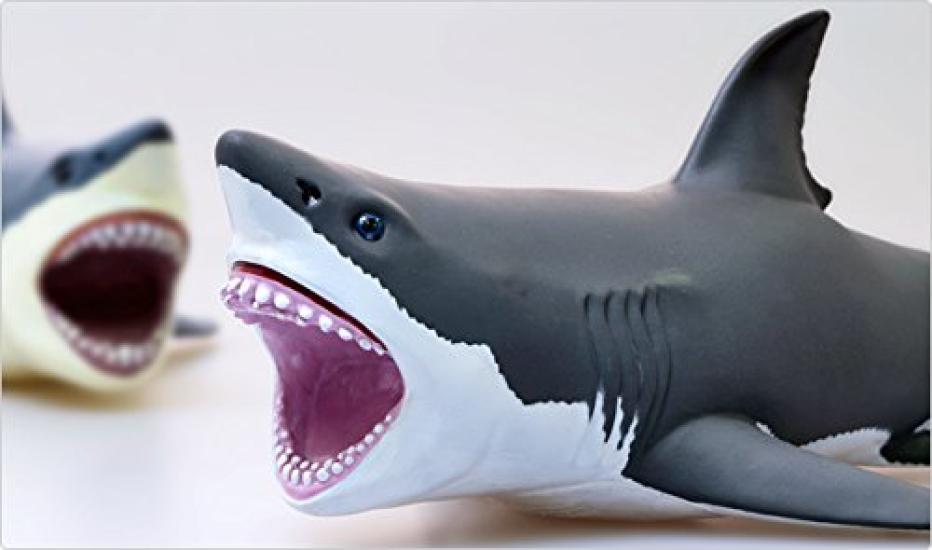 Favorite Great White Shark FM-305