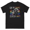 Zufällig schwul, wissentlich Alpha T-Shirt | Lustiges schwules Wolfs-T-Shirt | LGBTQ Pride Shirt | Sigma Meme T-Shirt | Y2K Retro Pride Grafik-T-Shirt