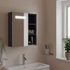 VidaXL Bathroom Mirror Cabinet with LED Grey 45x13x52 Cm, Vanity Unit with Mirror, Wall Cabinet with 357966