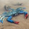 Realistic Crab Marine Animal Figurine Plastic Toy For Kids Gifts Educational