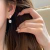 Fashion Charm Sparkling Zircon Women'S Earrings Luxury Gemstone Wedding Accessories Small Earnail Jewelry