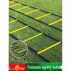 Basketball Training Agility Ladder & Cone Set