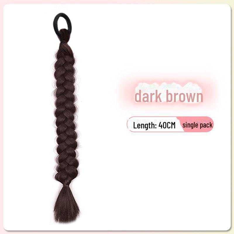 Y2K Highlighted Double Ponytail Braids for Women – Gradient Style