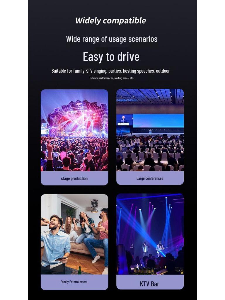 Dual Metal True Diversity Infrared Frequency Wireless Microphone for Meetings and Family KTV