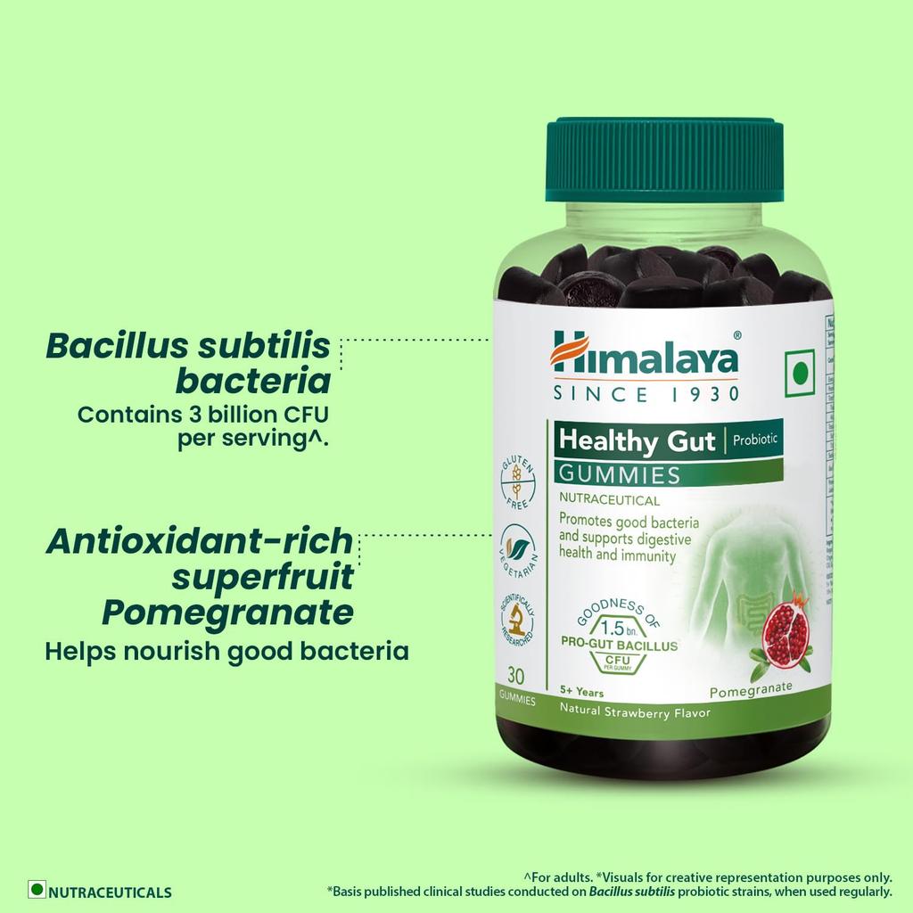 Himalaya Healthy Gut Probiotic Gummies Pack Of 60 Supports Digestive Health Boosts Immunity With Natural Strawberry Flavor For Adults And Kids