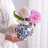 Plant Pots Table Decoration Ornaments Flower Arrangement Ceramic Vases Room Aesthetic Decor