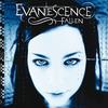 Evanescence - Fallen [vinyl]