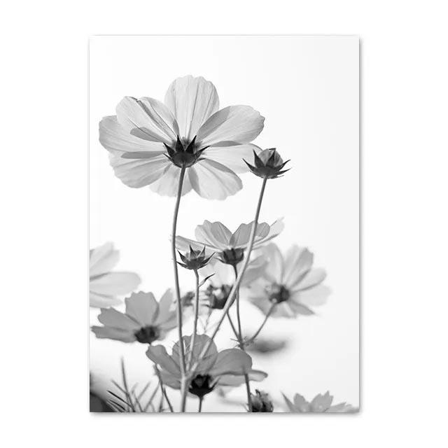 Black White Dandelion Blooming Flower Canvas Paintings Modern Minimalist Flower Plant Wall Art Poster Prints for Room Home Decor