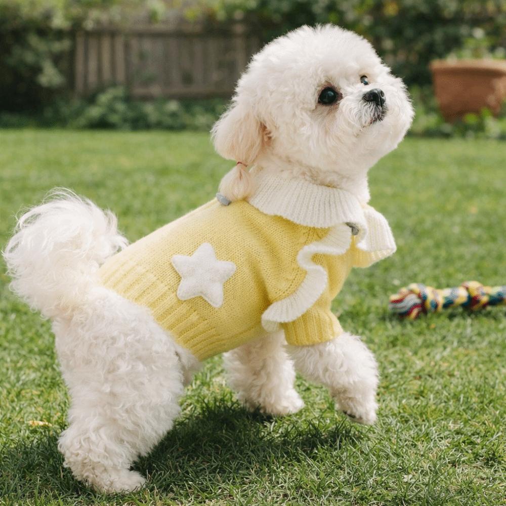 Soft Puppy Pullover Princess Style Dog Lapel Dress Cute Two Legs Dog Clothes  Spring Autumn