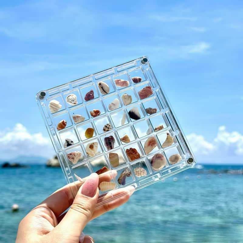 Natural mini conch, shell starfish, high transparency acrylic storage box, material box, micro shell sand specimen, seaside gift 11.7*11.7