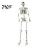 Life Size Halloween Skeleton 5.4FT Life-Size Human Prop for Halloween, Realistic Poseable Full Body Aged Texture Bone with Adjustable Joints, Haunted