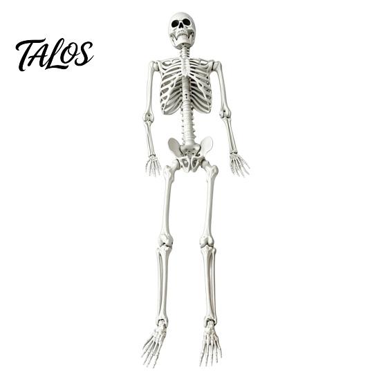 Life Size Halloween Skeleton 5.4FT Life-Size Human Prop for Halloween, Realistic Poseable Full Body Aged Texture Bone with Adjustable Joints, Haunted