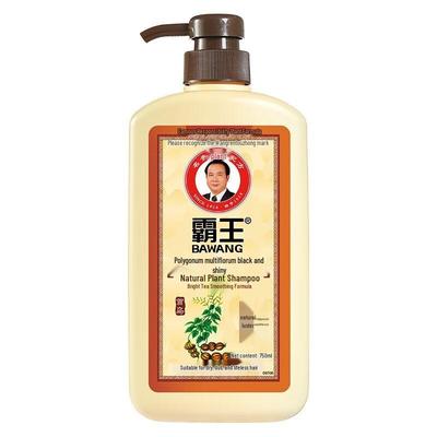 Bawang He Shou Wu Black & Bright Natural Plant Shampoo