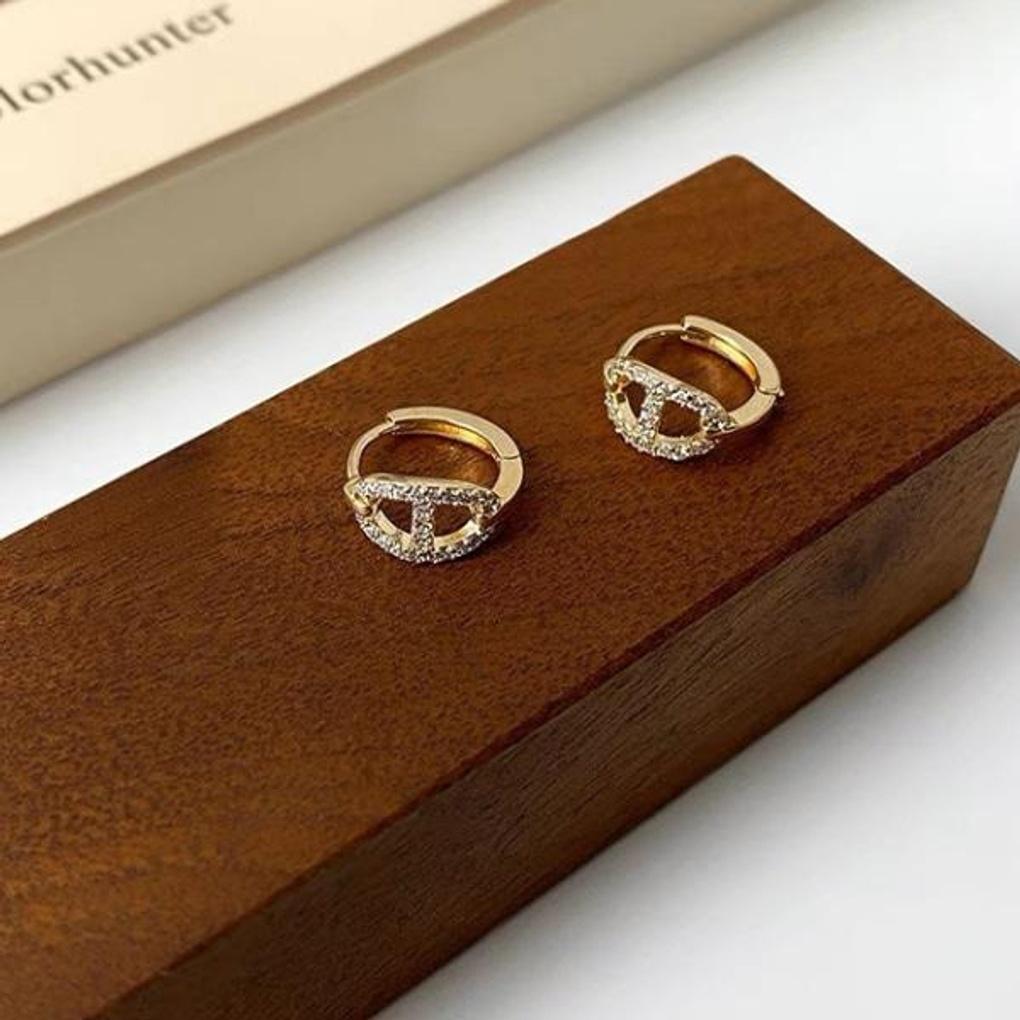 Women's Daily Pig Like Moment Hoop Earrings