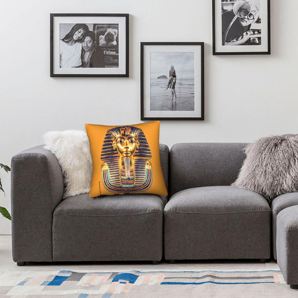 Ancient Egyptian Mysterious Pillow Cover Cute Funny Pillow Case For Sofa Couch Bed Living Room Comfy Pillowcases Gift Idea