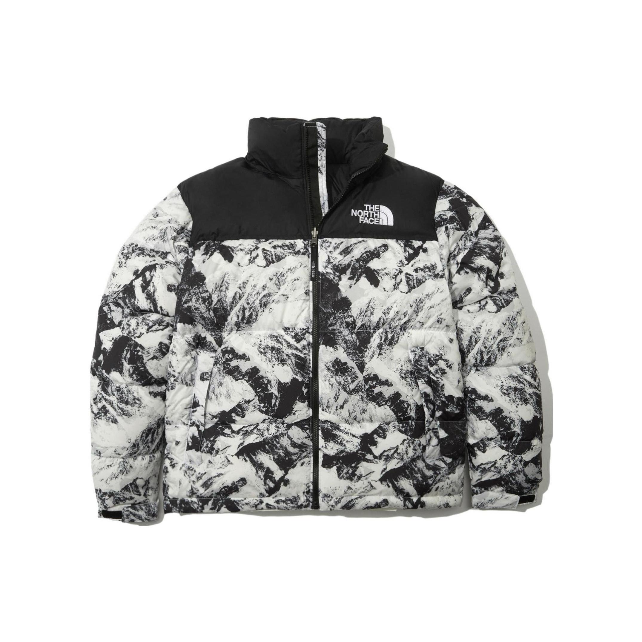 THE NORTH FACE 1996 Novelty Nuptse