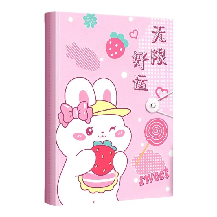 Clear Document Folders with Cartoon Design Lightweight File Storage for Students Teachers Award Certificate Organization