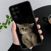 Phone Case For Samsung A17 A55 A16 A56 A35 A15 A53 A54 A33 A34 A25 A05S A52 A52S A07 A26 A06 Cute Cats