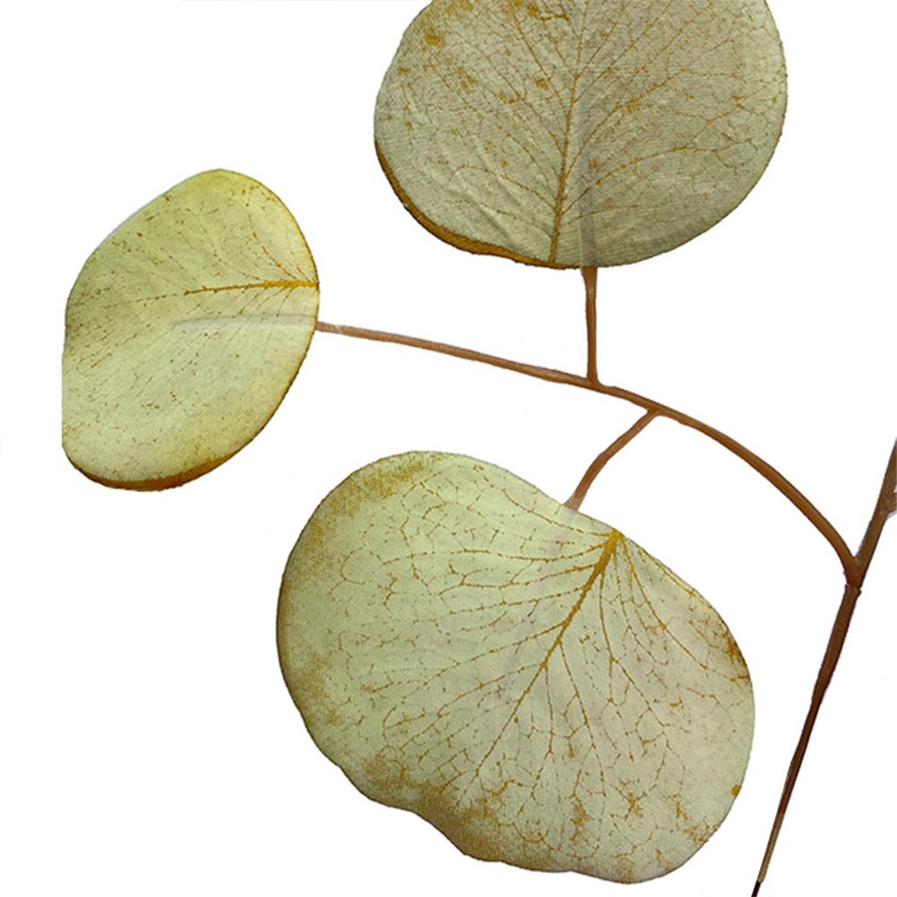 Simulation  Eucalyptus Colored Leaves Photo Shoot Photography Background Props Tabletop Home Decor