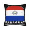 Paraguay Flag Pillow Covers Accessories Soft Cushion Cover Decor  Throw Pillow Case Cover Home Multi Size