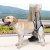 Dog Back Leg Lift Harness Powerful Support Reduces Pressure Adjustable Dog Hind Leg Sling for