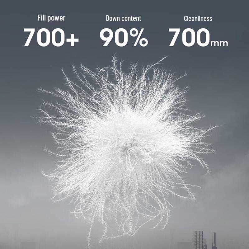 Bosideng Detachable Collar Diamond Quilted Goose Down Jacket B250134156