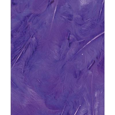 PURPLE FEATHERS - 12 CM