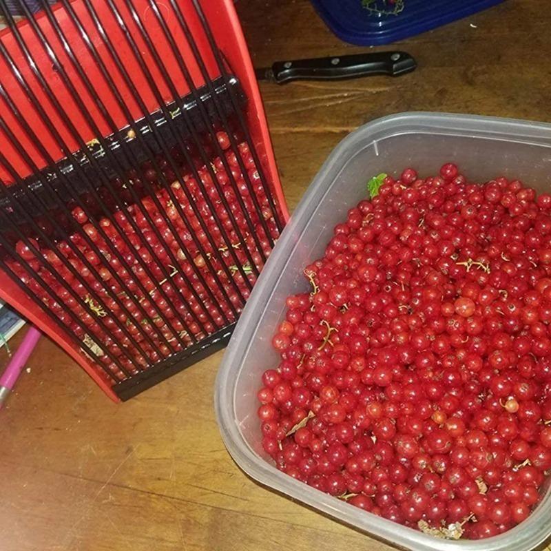Berry Picker Comb Rake,Plastic Blueberry Picker Scoop Fruit Picker Tool,Blueberry Rake Scoop,Handheld Berry Harvester Tool