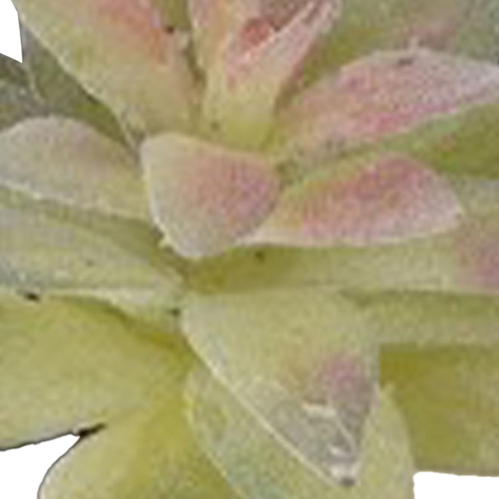 Künstliche Sukkulente Pflanze Weiches PVC Hohe Simulation Mini Kunstpflanze für Heim Büro Schreibtisch Dekoration