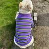 INS New Pure Cotton Pet Shirt Striped T-shirt Dog Shirt Dog Clothes Yorkshire Terrier French Bulldog Clothes