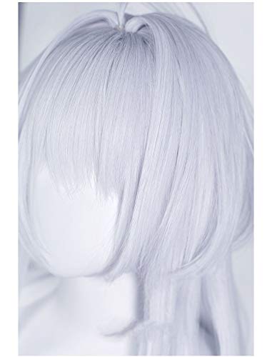 FGO Cosplay Wig, Heat-Resistant Wig, Halloween Costume Accessory, Festival Wig (Proto Merlin)
