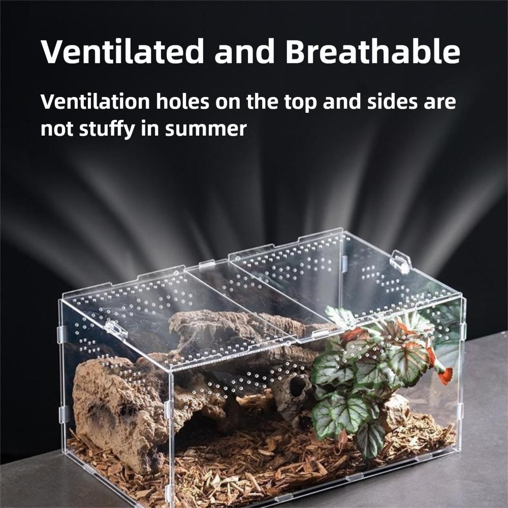 Anti-Escape Reptile Habitat Clear Spider Feeding Case Durable Lizard Breeding Box  for Chameleon