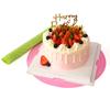 Cake Turntable Pat Silicone Baking Mat For Cake with Size Non-stick High Temperature Resistant Bake Tool Kitchen Gadget